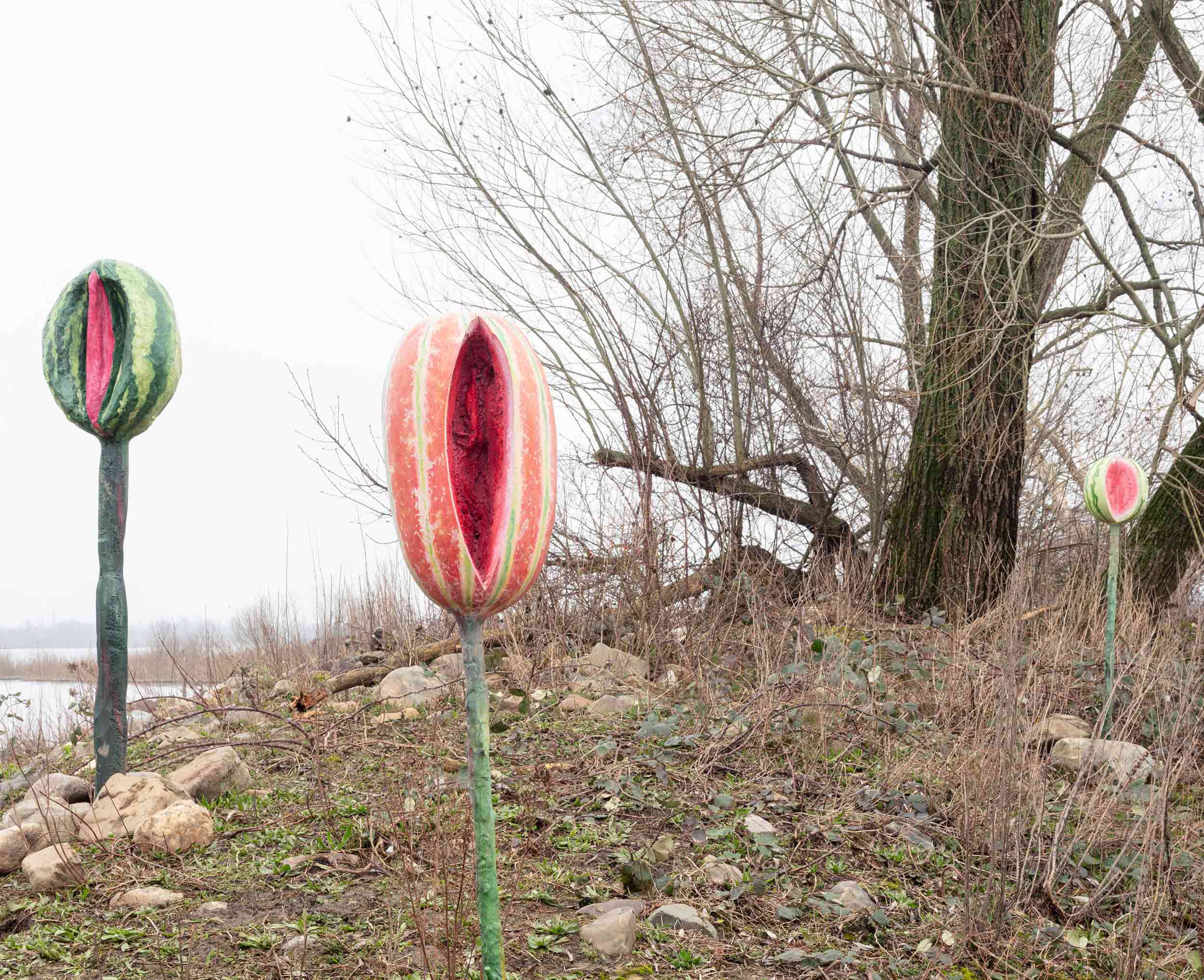 Vulva Island