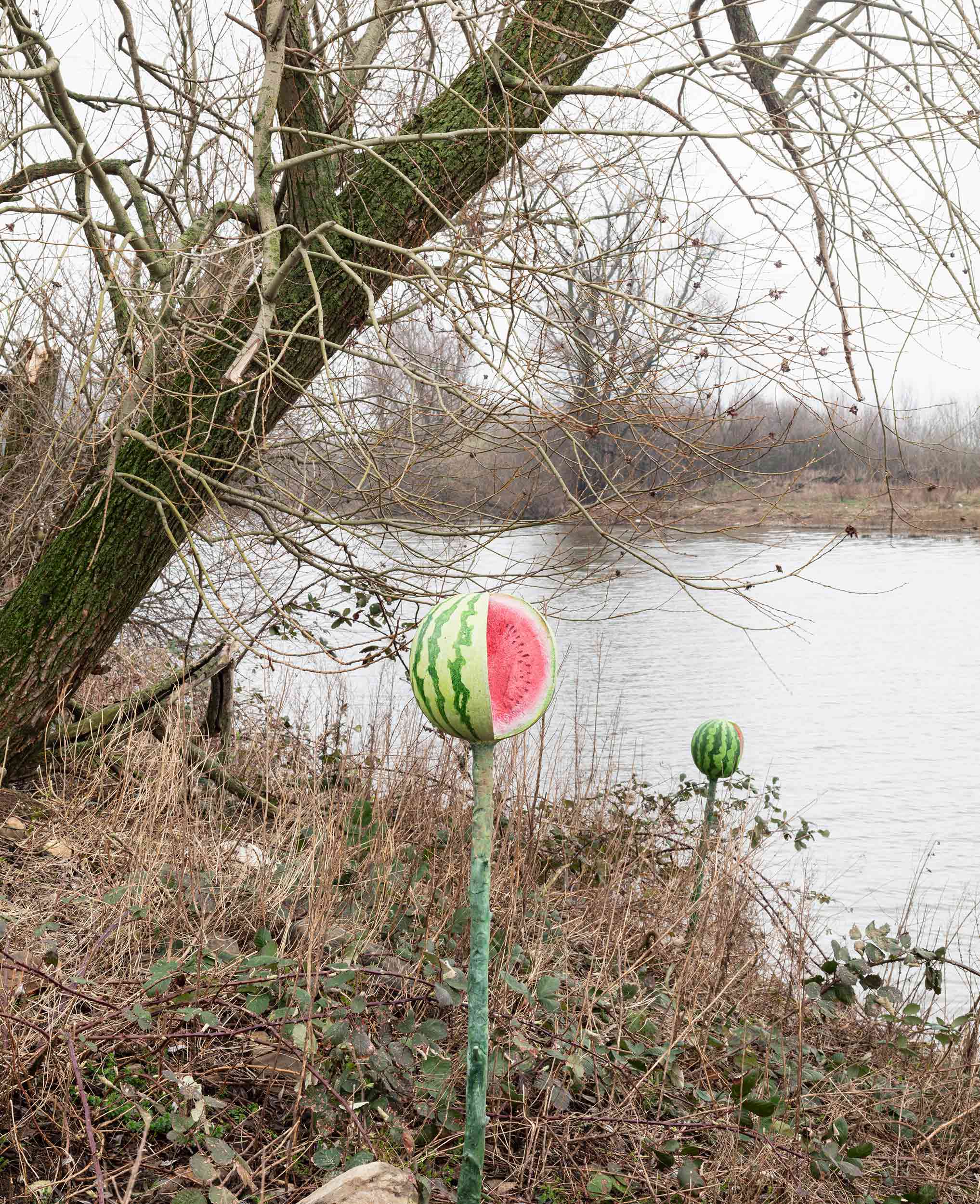Vulva Island