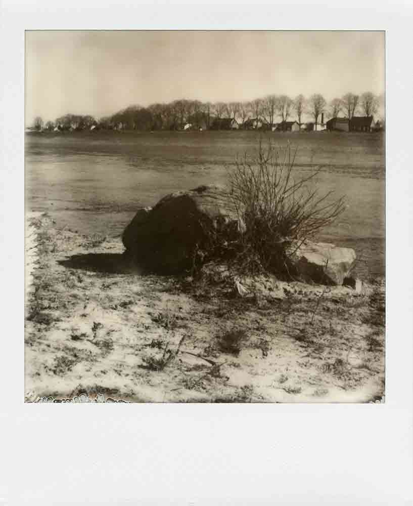 Vulva Island