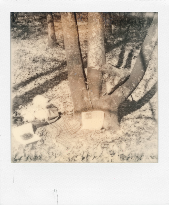 Arrows Of Thought