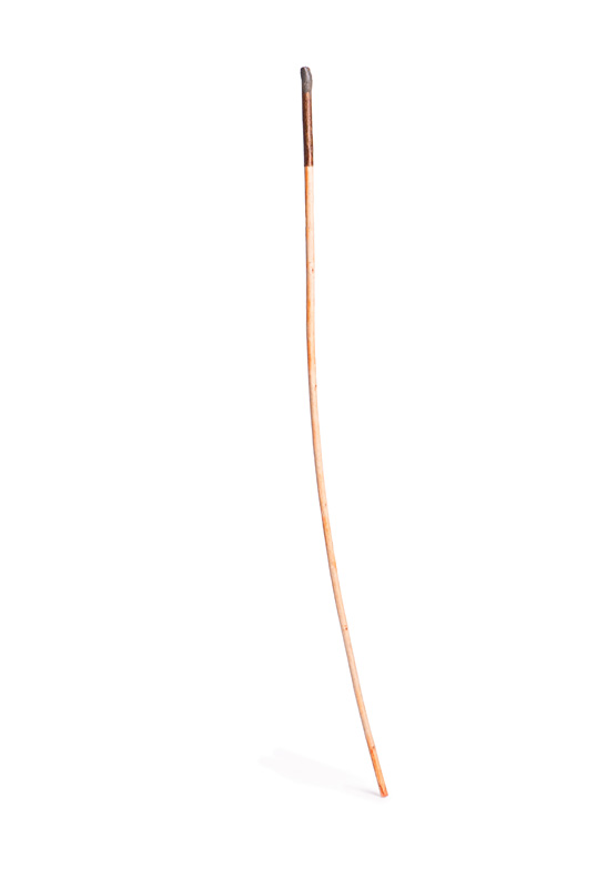 Arrows Of Thought